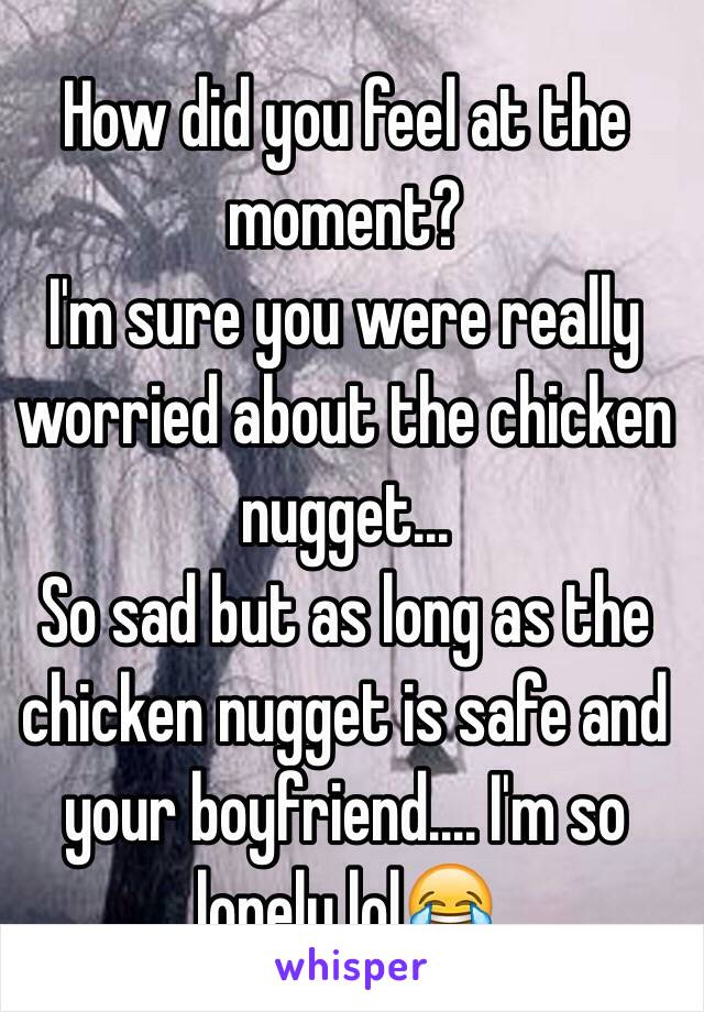 How did you feel at the moment?                                      I'm sure you were really worried about the chicken nugget...                                         So sad but as long as the chicken nugget is safe and your boyfriend.... I'm so lonely lol😂