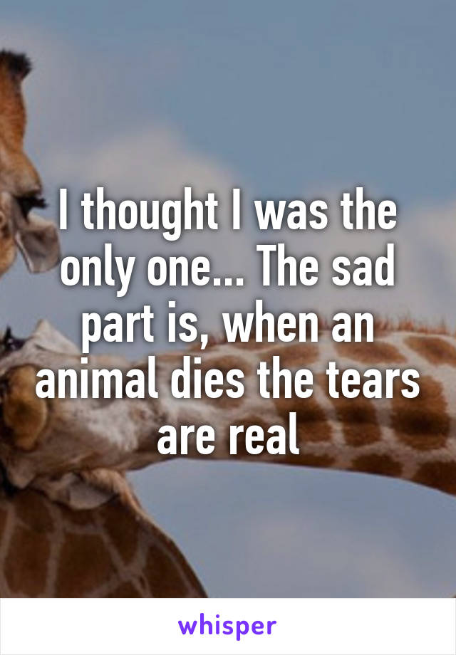 I thought I was the only one... The sad part is, when an animal dies the tears are real