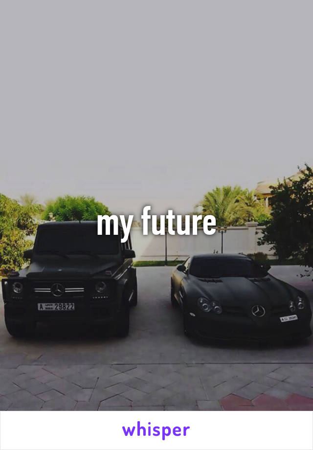 my future