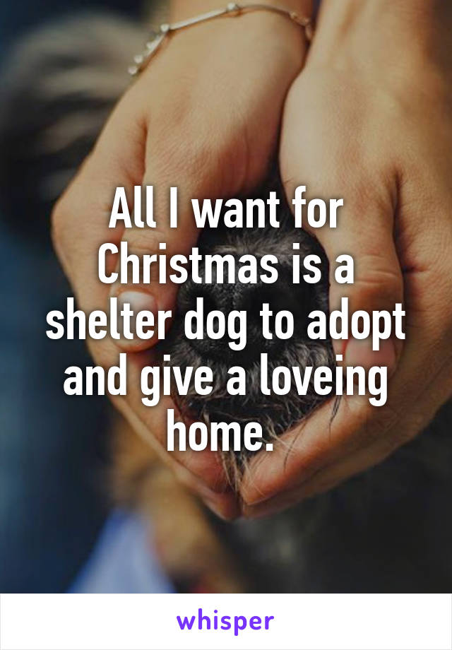 All I want for Christmas is a shelter dog to adopt and give a loveing home. 