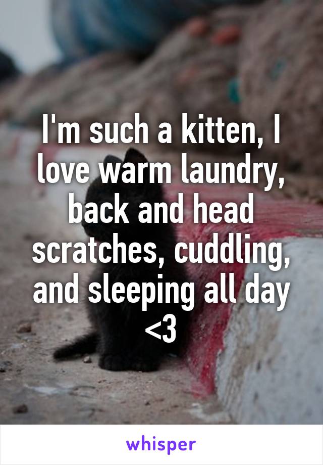 I'm such a kitten, I love warm laundry, back and head scratches, cuddling, and sleeping all day <3