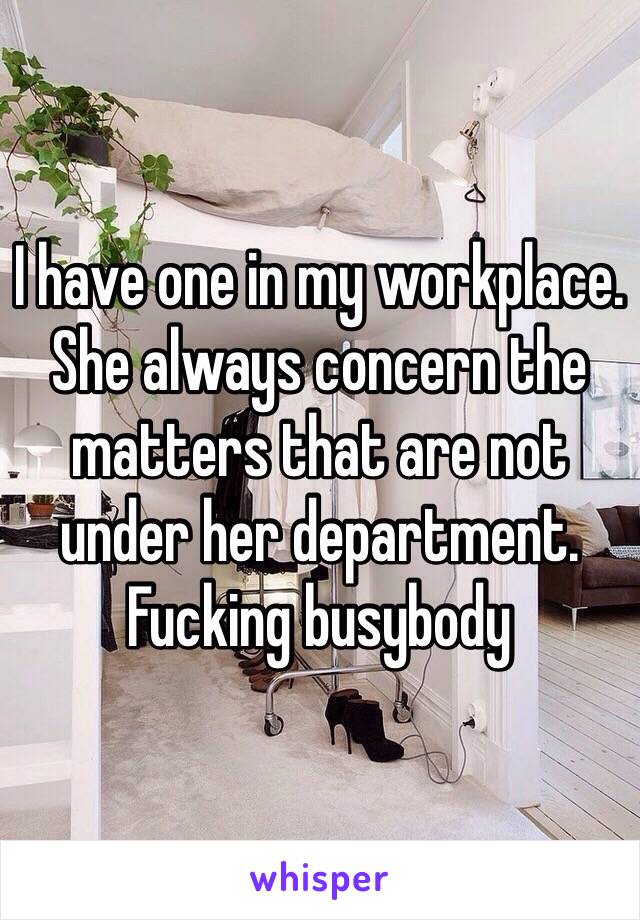 I have one in my workplace. She always concern the matters that are not under her department. Fucking busybody 