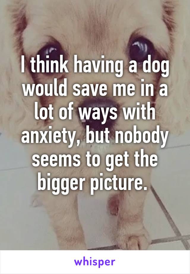 I think having a dog would save me in a lot of ways with anxiety, but nobody seems to get the bigger picture. 
