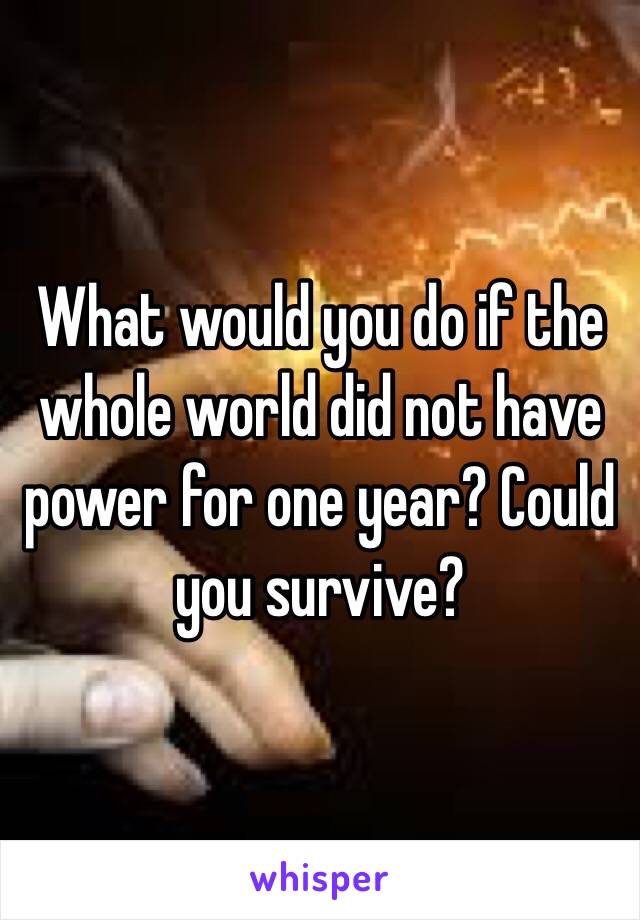 What would you do if the whole world did not have power for one year? Could you survive? 