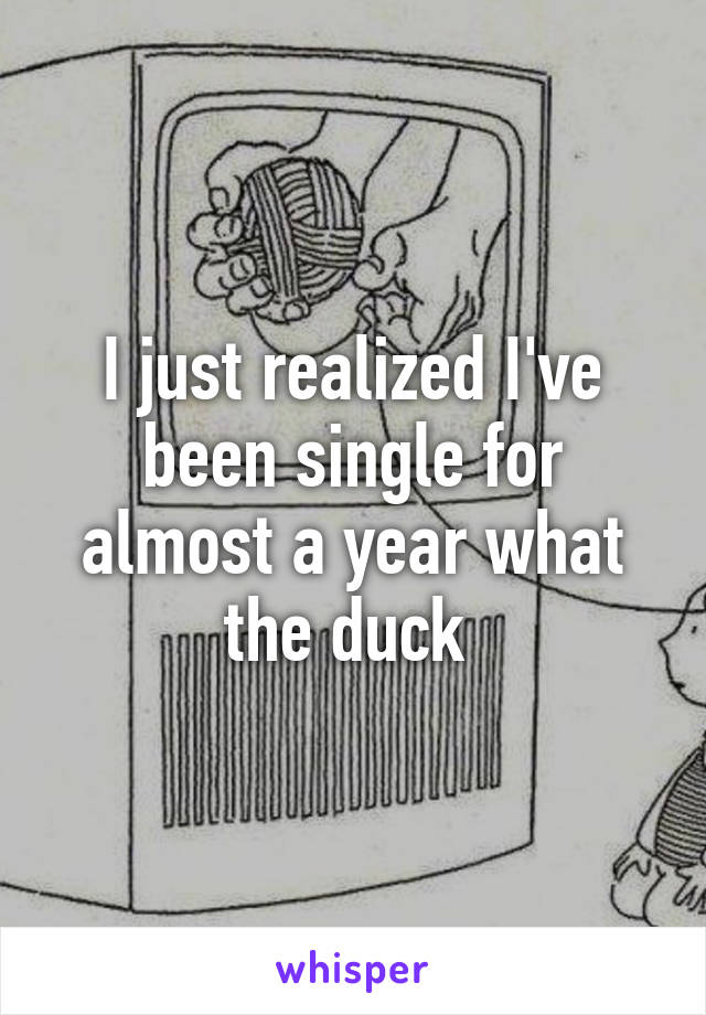 I just realized I've been single for almost a year what the duck 