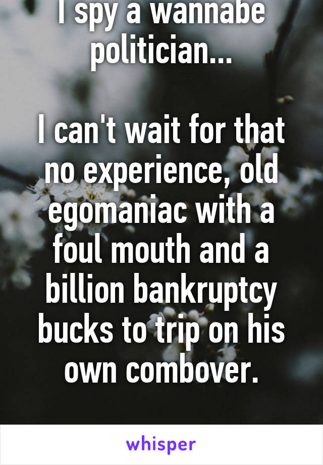 I spy a wannabe politician...

I can't wait for that no experience, old egomaniac with a foul mouth and a billion bankruptcy bucks to trip on his own combover.

Guess who?