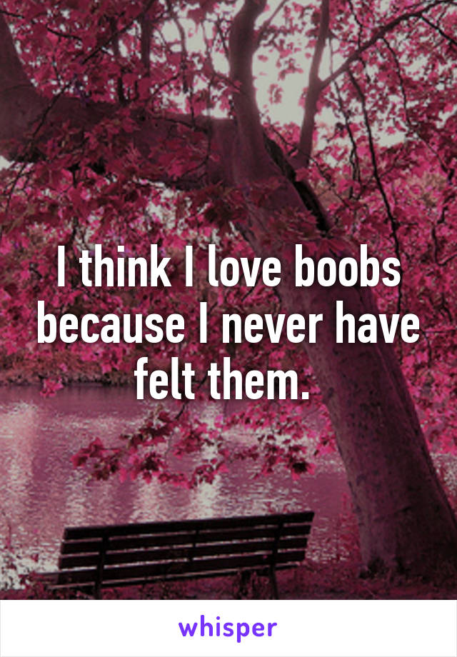 I think I love boobs because I never have felt them. 