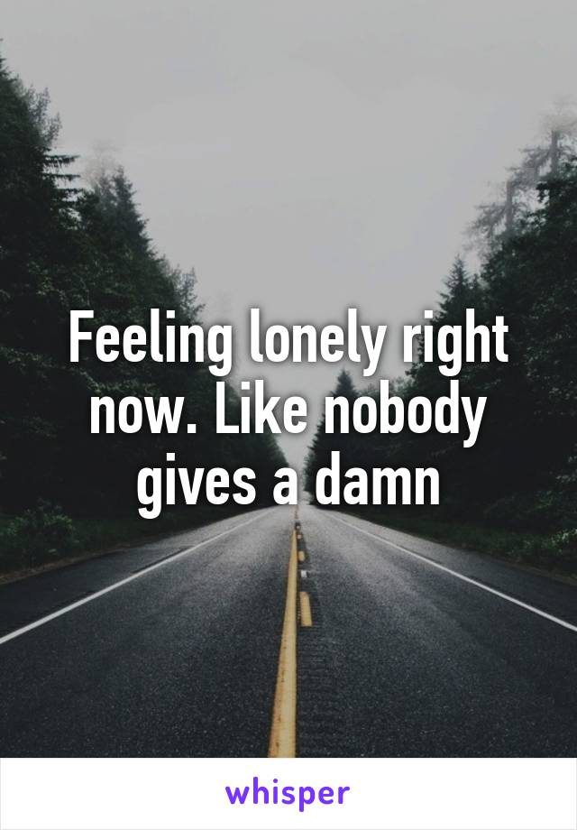 Feeling lonely right now. Like nobody gives a damn