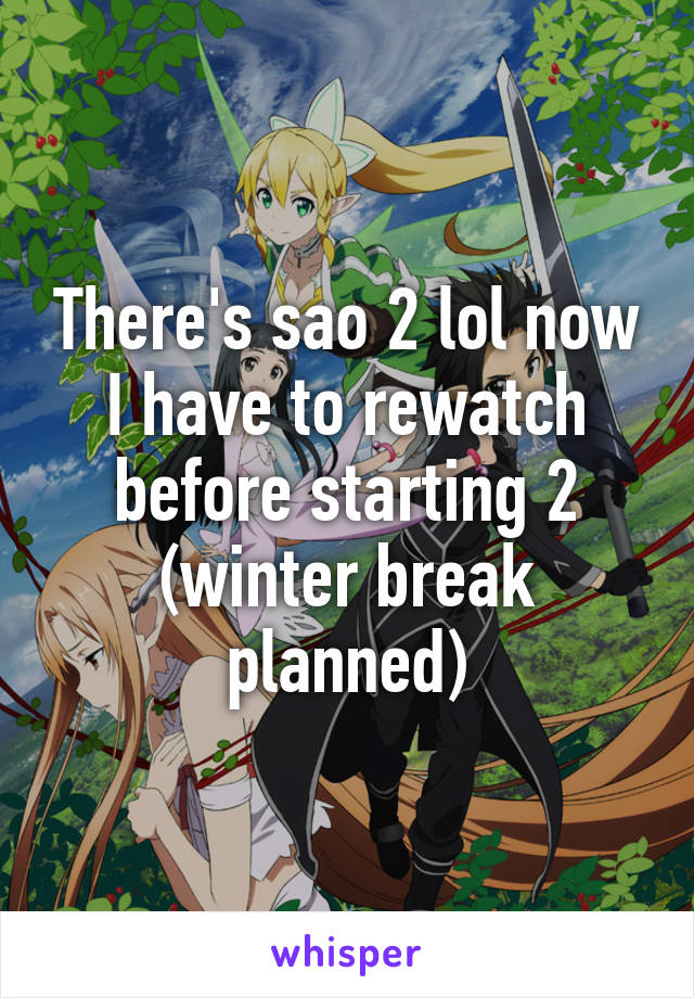 There's sao 2 lol now I have to rewatch before starting 2 (winter break planned)