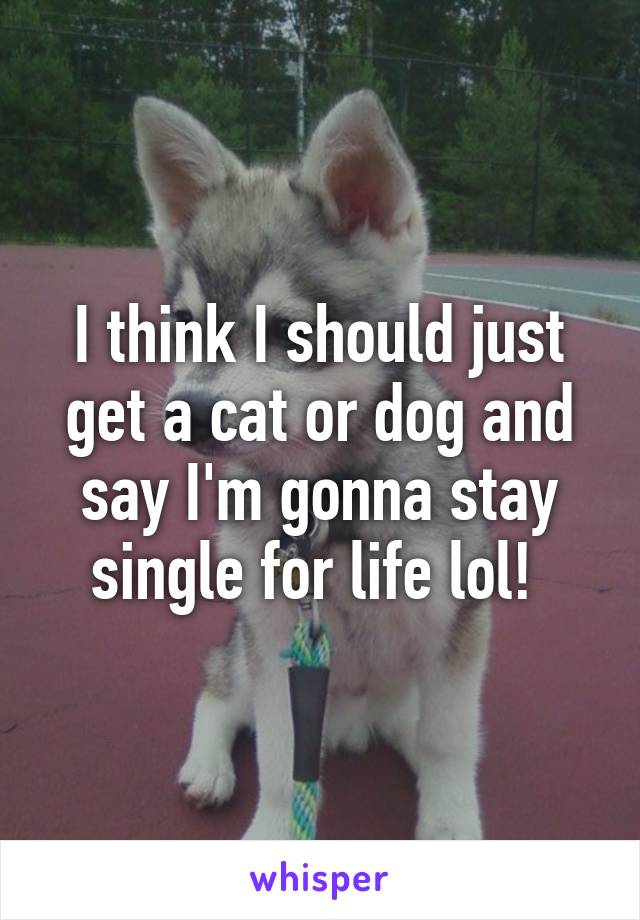 I think I should just get a cat or dog and say I'm gonna stay single for life lol! 