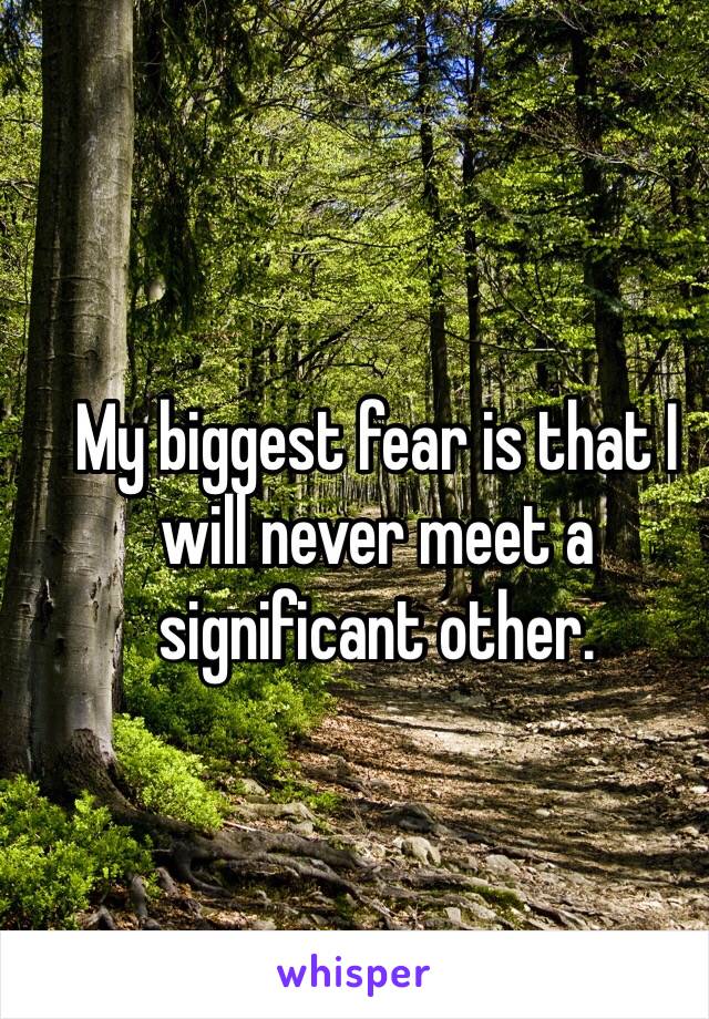 My biggest fear is that I will never meet a significant other.