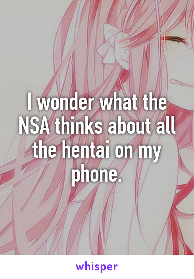 I wonder what the NSA thinks about all the hentai on my phone.