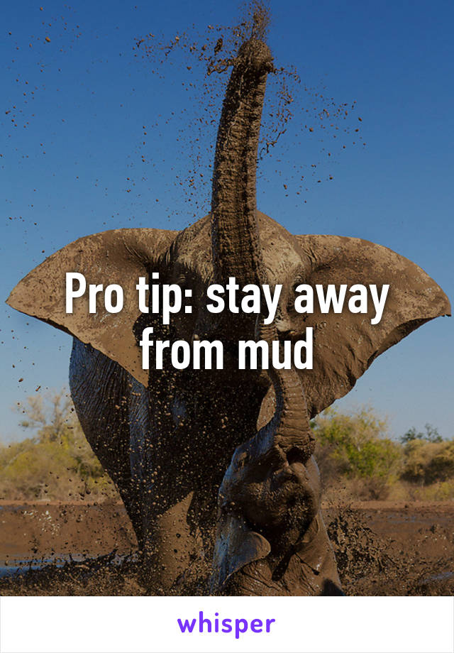 Pro tip: stay away from mud