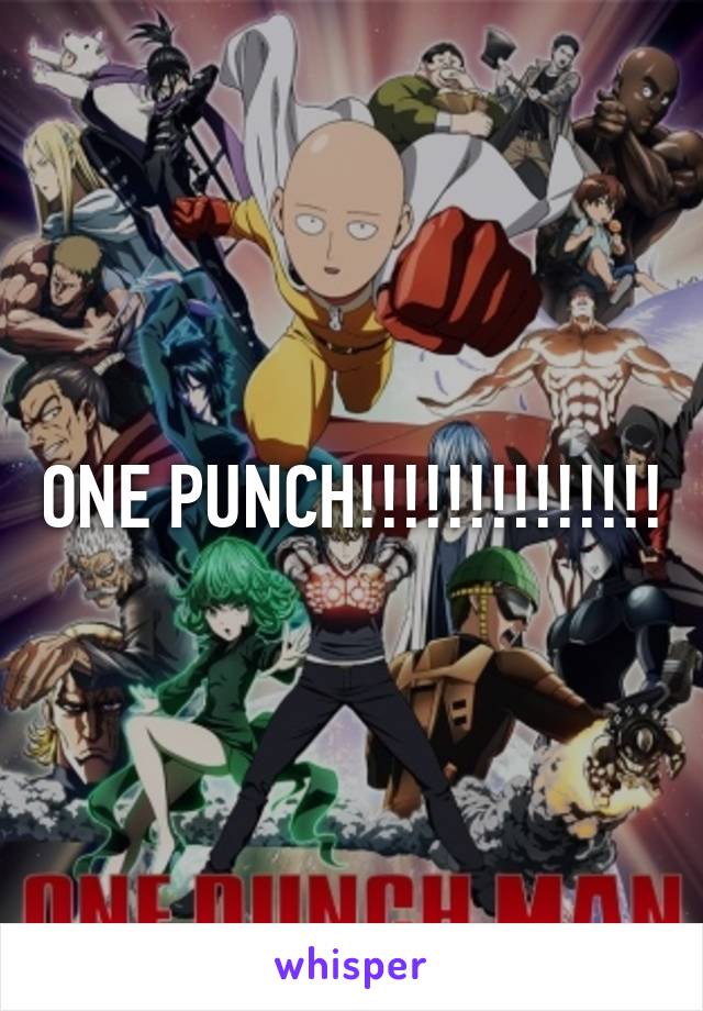 ONE PUNCH!!!!!!!!!!!!!!