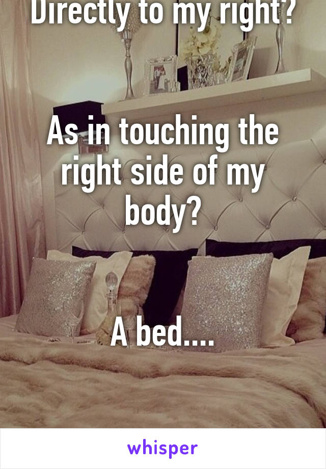 Directly to my right?


As in touching the right side of my body?


A bed....


.....I'm screwed.....