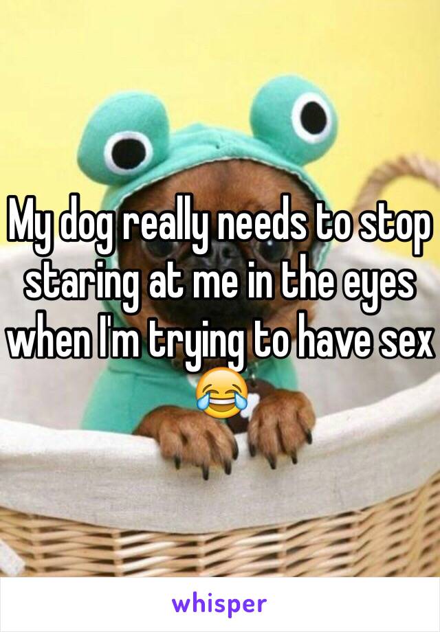 My dog really needs to stop staring at me in the eyes when I'm trying to have sex 😂