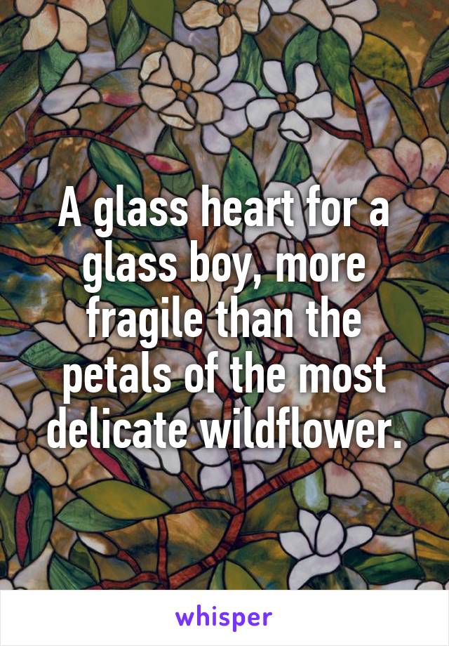 A glass heart for a glass boy, more fragile than the petals of the most delicate wildflower.