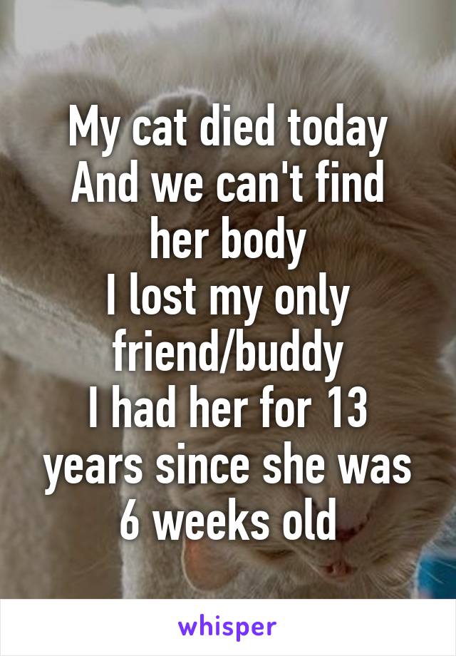 My cat died today
And we can't find her body
I lost my only friend/buddy
I had her for 13 years since she was 6 weeks old