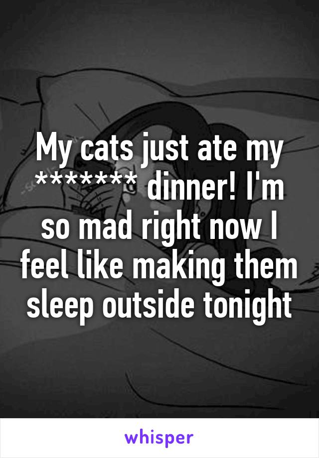 My cats just ate my ******* dinner! I'm so mad right now I feel like making them sleep outside tonight