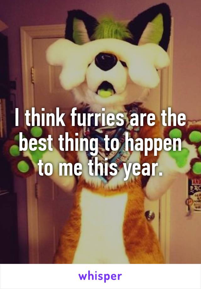 I think furries are the best thing to happen to me this year.