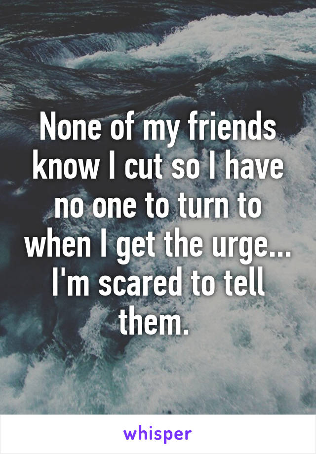 None of my friends know I cut so I have no one to turn to when I get the urge... I'm scared to tell them. 