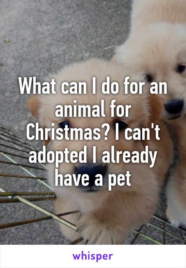 What can I do for an animal for Christmas? I can't adopted I already have a pet