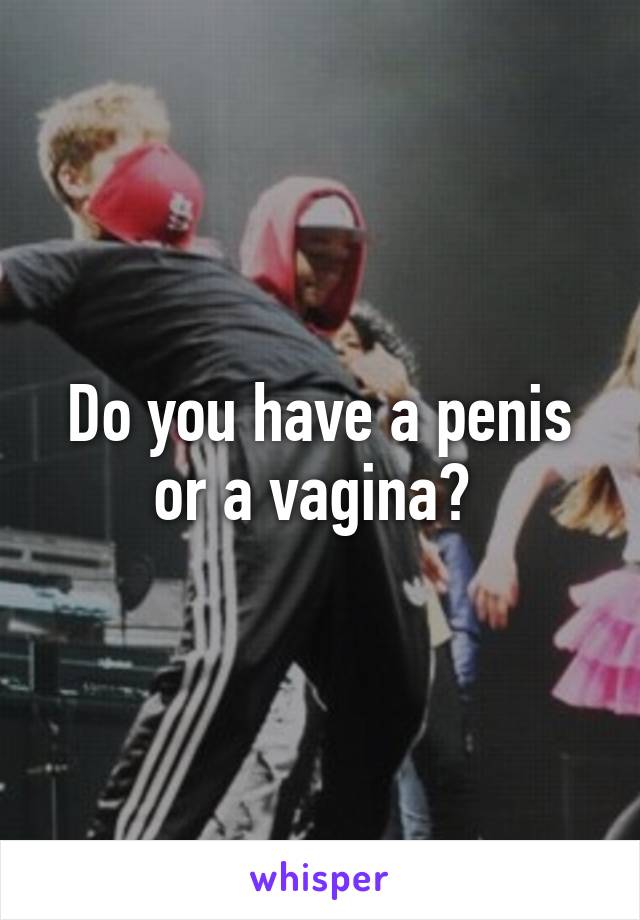 Do you have a penis or a vagina? 