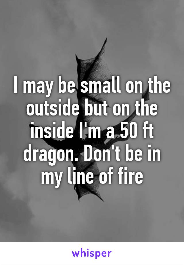 I may be small on the outside but on the inside I'm a 50 ft dragon. Don't be in my line of fire