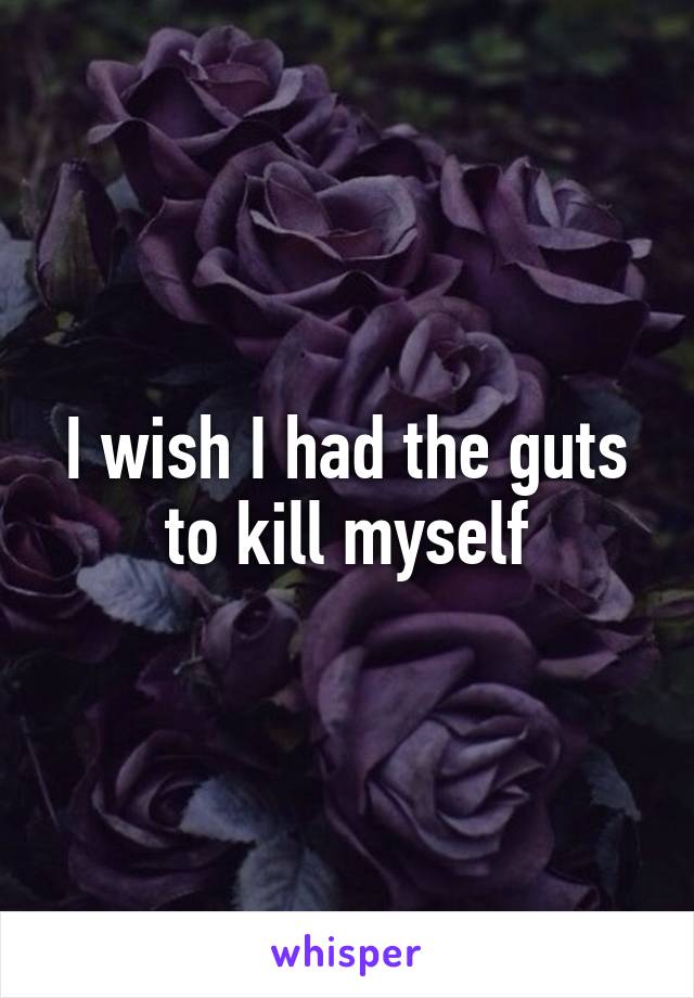 I wish I had the guts to kill myself