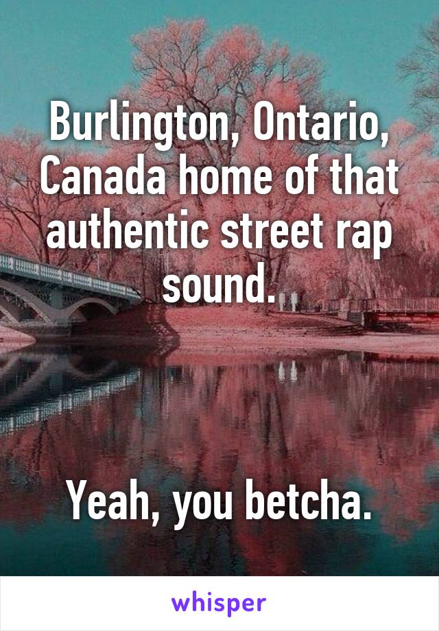 Burlington, Ontario, Canada home of that authentic street rap sound.



Yeah, you betcha.