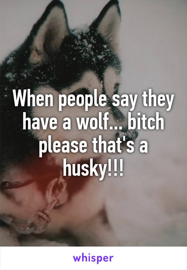 When people say they have a wolf... bitch please that's a husky!!!