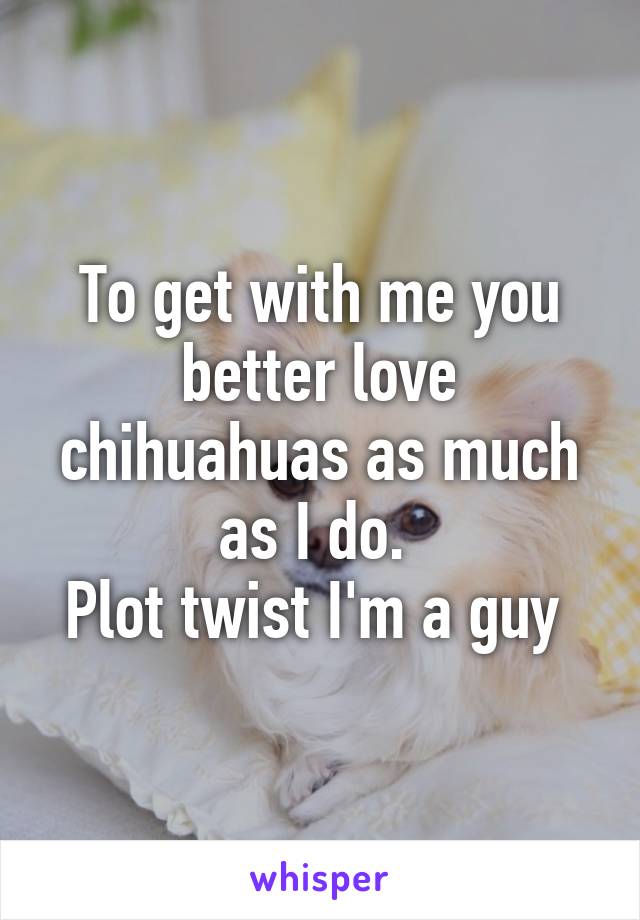 To get with me you better love chihuahuas as much as I do. 
Plot twist I'm a guy 