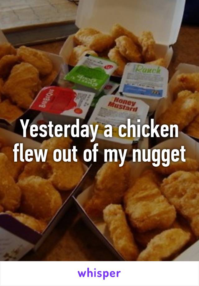 Yesterday a chicken flew out of my nugget