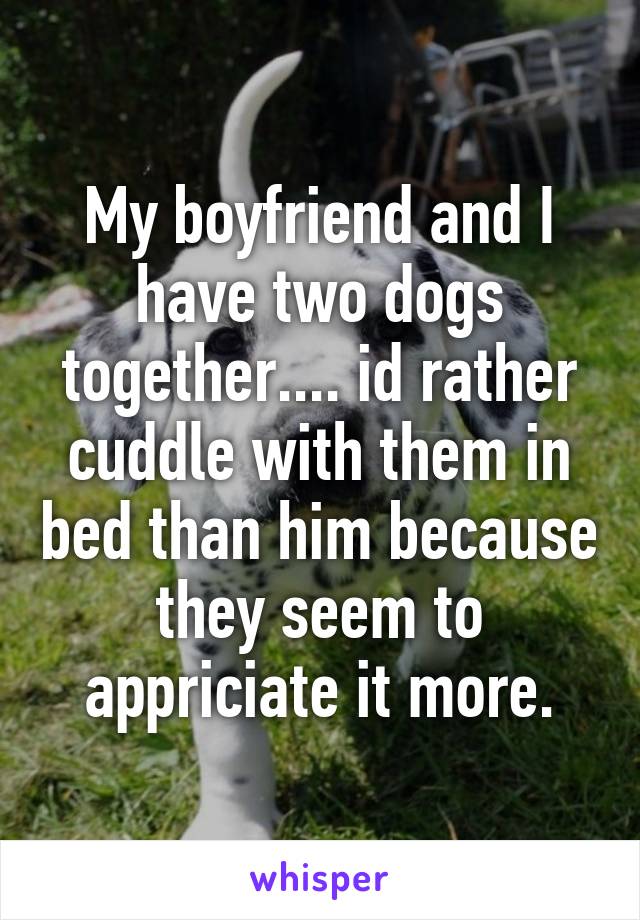 My boyfriend and I have two dogs together.... id rather cuddle with them in bed than him because they seem to appriciate it more.