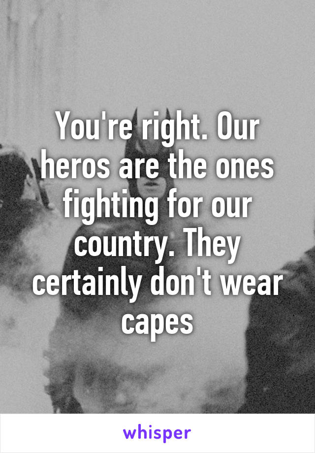 You're right. Our heros are the ones fighting for our country. They certainly don't wear capes