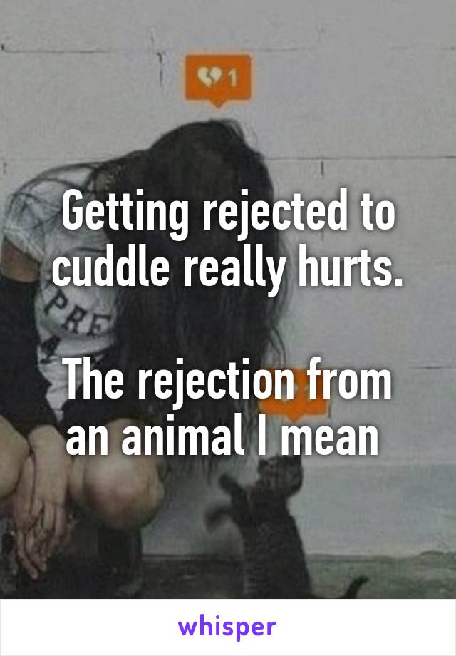 Getting rejected to cuddle really hurts.

The rejection from an animal I mean 