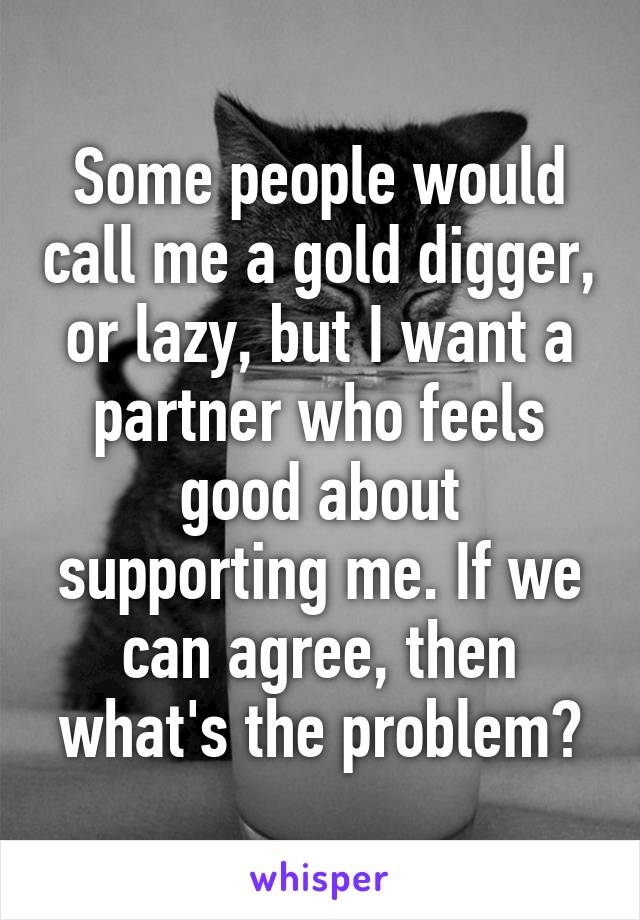 Some people would call me a gold digger, or lazy, but I want a partner who feels good about supporting me. If we can agree, then what's the problem?