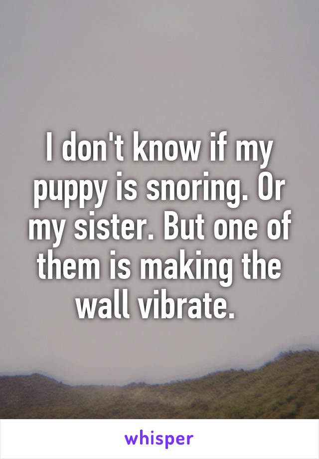 I don't know if my puppy is snoring. Or my sister. But one of them is making the wall vibrate. 