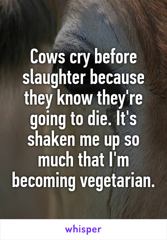 Cows cry before slaughter because they know they're going to die. It's shaken me up so much that I'm becoming vegetarian.