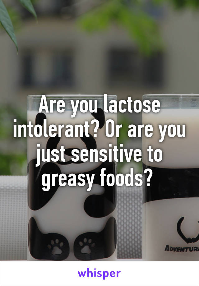 Are you lactose intolerant? Or are you just sensitive to greasy foods? 