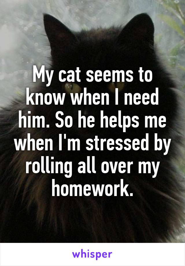 My cat seems to know when I need him. So he helps me when I'm stressed by rolling all over my homework.