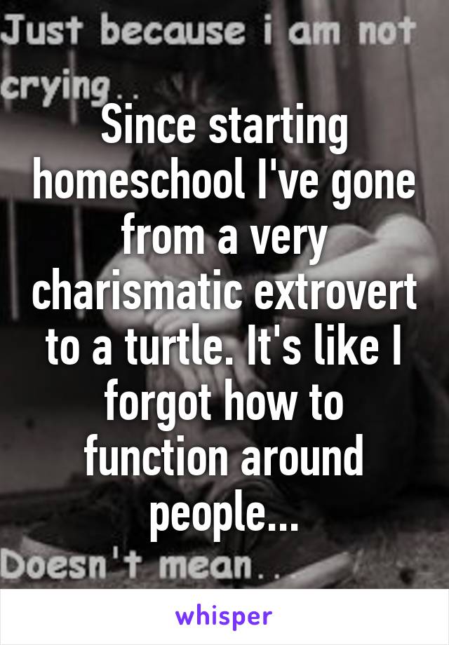 Since starting homeschool I've gone from a very charismatic extrovert to a turtle. It's like I forgot how to function around people...