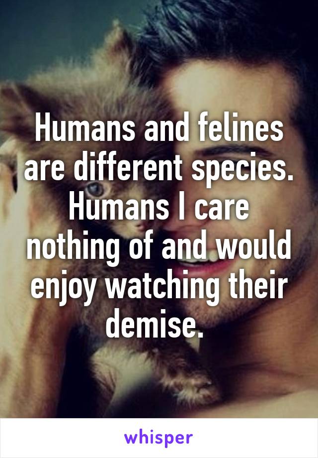 Humans and felines are different species. Humans I care nothing of and would enjoy watching their demise. 