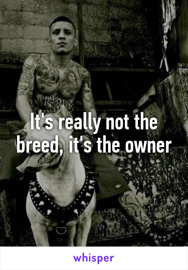 It's really not the breed, it's the owner