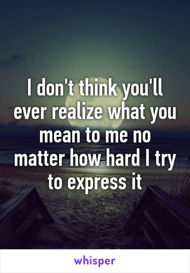 I don't think you'll ever realize what you mean to me no matter how hard I try to express it