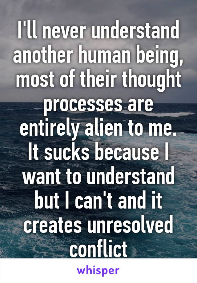 I'll never understand another human being, most of their thought processes are entirely alien to me.
It sucks because I want to understand but I can't and it creates unresolved conflict