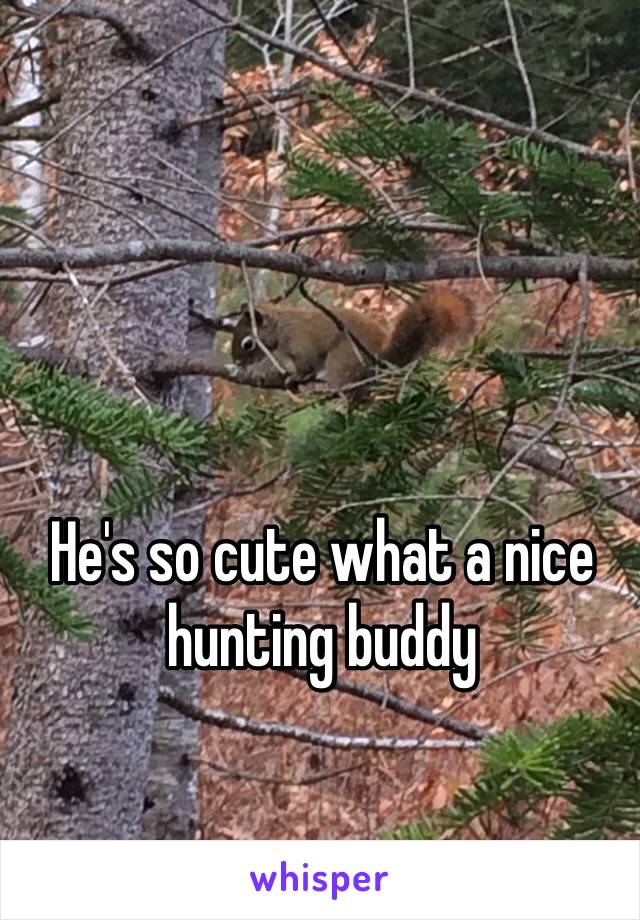 He's so cute what a nice hunting buddy 