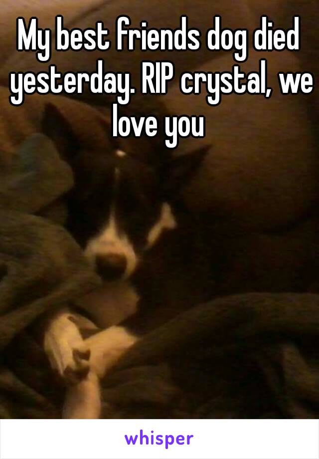 My best friends dog died yesterday. RIP crystal, we love you 