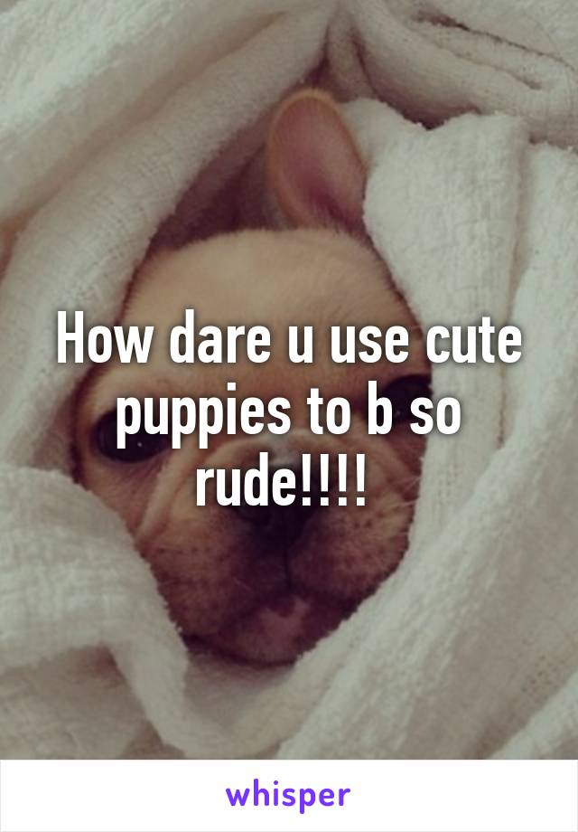 How dare u use cute puppies to b so rude!!!! 