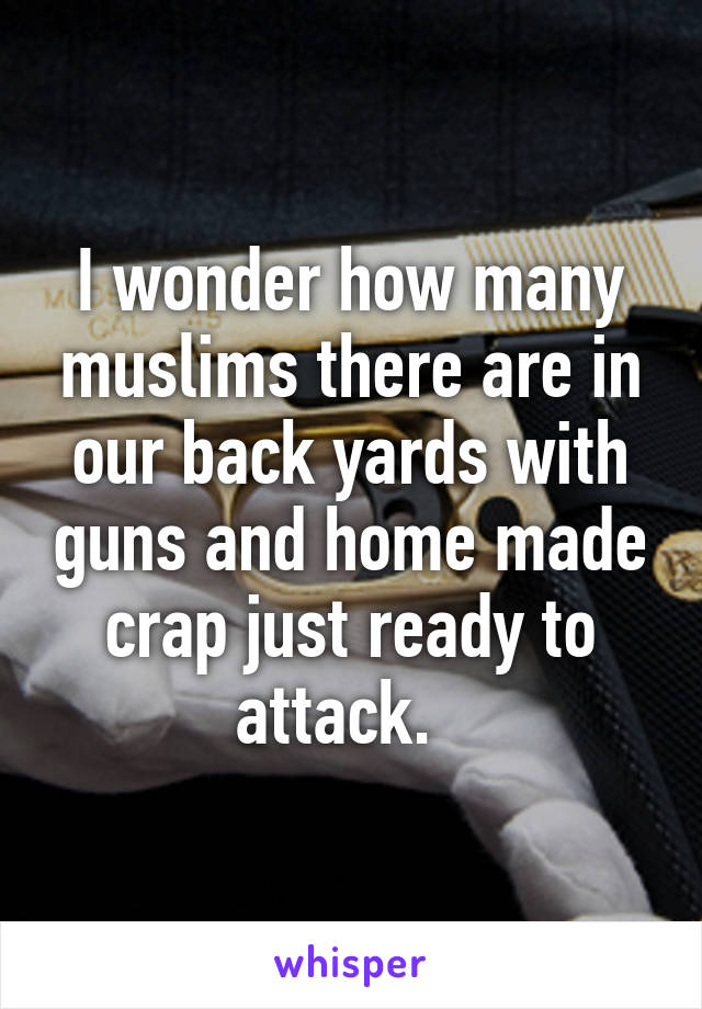 I wonder how many muslims there are in our back yards with guns and home made crap just ready to attack.  